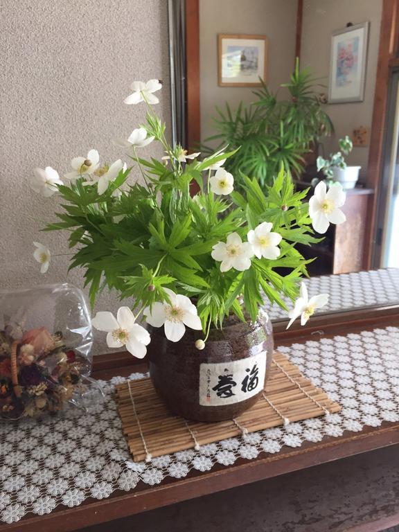 富士河口湖 Momoya Lake Saiko酒店 外观 照片